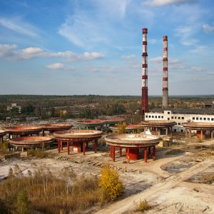 Abandoned Plant